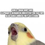 screem | GIRLS: IMAO WHY ARE ELEPHANTS AFRAID OF MICE, THEY'RE SO TINY.

ALSO GIRLS WHEN THEY SEE A BUG: | image tagged in screem | made w/ Imgflip meme maker