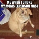 O no | ME WHEN I BROKE MY MOMS EXPENSIVE VASE | image tagged in oh you dog | made w/ Imgflip meme maker