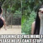 y not | BEEN LAUGHING AT THIS MEME FOR 10 MINUTES, PLEASE HELP I CAN'T STOP,I'M CRYING | image tagged in y not | made w/ Imgflip meme maker