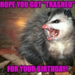 Birthday Possom | HOPE YOU GOT "TRASHED"; FOR YOUR BIRTHDAY! | image tagged in possom 2 | made w/ Imgflip meme maker