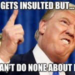 Donald Trump | GETS INSULTED BUT... CAN'T DO NONE ABOUT IT | image tagged in donald trump | made w/ Imgflip meme maker