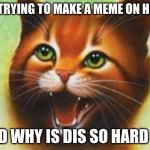People tryna make memes | ME TRYING TO MAKE A MEME ON HERE:; GOD WHY IS DIS SO HARD T-T | image tagged in warrior cats firestar | made w/ Imgflip meme maker