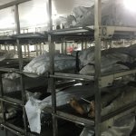 COVID Morgue Bodies Body Bags Trump