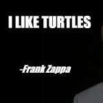 Bill Gates Fake quote | I LIKE TURTLES; -Frank Zappa | image tagged in bill gates fake quote,frank zappa,turtles | made w/ Imgflip meme maker