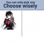 You can only pick one Choose wisely meme