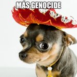 mexican Chihuahua | MÁS GENOCIDE | image tagged in mexican chihuahua | made w/ Imgflip meme maker