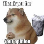 Thank you for your opinion meme