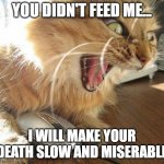 angry cat | YOU DIDN'T FEED ME... I WILL MAKE YOUR DEATH SLOW AND MISERABLE | image tagged in angry cat,cat memes,angry cat memes | made w/ Imgflip meme maker
