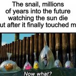 The snail is all alone now | The snail, millions of years into the future watching the sun die out after it finally touched me | image tagged in now what,memes,funny,immortal snail | made w/ Imgflip meme maker