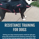 Resistance training for dogs