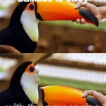 yes | ballistic is easy; with the new engine | image tagged in toucan beak,yes,fnf,friday night funkin,oh wow are you actually reading these tags | made w/ Imgflip meme maker