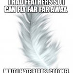 Feather | SOMETIMES I WISH I HAD FEATHERS SO I CAN FLY FAR FAR AWAY. WAIT I HATE BIRDS. COLONEL SANDERS HAD THE RIGHT IDEA | image tagged in feather | made w/ Imgflip meme maker