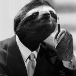 Sloth gentleman meme