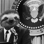 Sloth President meme
