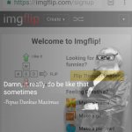 Welcome to imgflip damn it really do be like that sometimes meme