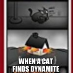 exploding cat | WHEN A CAT FINDS DYNAMITE | image tagged in exploding cat | made w/ Imgflip meme maker