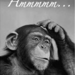 monkey china lost | IF HUMANS REALLY EVOLVED FROM PRIMATES, WHY AM I STILL A PRIMATE? | image tagged in monkey china lost | made w/ Imgflip meme maker