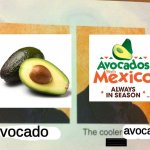 its an avocado... thanks | avocado; avocado | image tagged in the cooler daniel | made w/ Imgflip meme maker