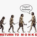 go bak | reject hooman; RETURN TO  M O N K E | image tagged in evolution template,reject,hooman,return,to,monke | made w/ Imgflip meme maker