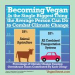 Vegan lies