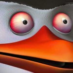 red eyes penguin skipper