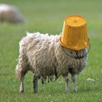 Sheep Bucket Head template