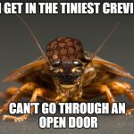 Cockroach | CAN GET IN THE TINIEST CREVICES; CAN'T GO THROUGH AN
 OPEN DOOR | image tagged in cockroach | made w/ Imgflip meme maker