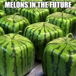 melons :D | MELONS IN THE FUTURE | image tagged in minecraft melons | made w/ Imgflip meme maker
