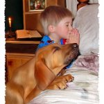 Puppy prayer