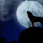 Lone wolf | Slavic Lives Matter | image tagged in lone wolf,slavic lives matter | made w/ Imgflip meme maker