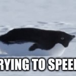 i am speed | ME TRYING TO SPEEDRUN | image tagged in gifs,speedrun | made w/ Imgflip video-to-gif maker