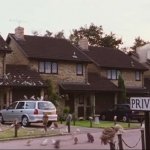 Owls on Privet Drive