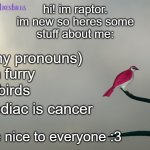 ello! | hi! im raptor.
im new so heres some
stuff about me:; bi (any pronouns); avian furry; likes birds; my zodiac is cancer; i try to be nice to everyone :3 | image tagged in raptor's template,birds | made w/ Imgflip meme maker