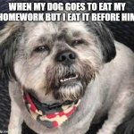 confused dog | WHEN MY DOG GOES TO EAT MY HOMEWORK BUT I EAT IT BEFORE HIM | image tagged in confused dog | made w/ Imgflip meme maker