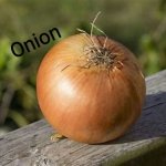 Onion meme