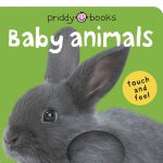Touch and feel baby animals template