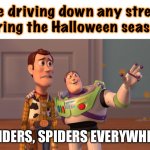 that’s ppl’s favorite animal for decoration, besides dead bodies of other animals | me driving down any street during the Halloween season:; SPIDERS, SPIDERS EVERYWHERE | image tagged in woody and buzz lightyear everywhere widescreen,spiders,halloween,so true memes | made w/ Imgflip meme maker