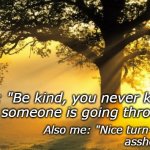 Be kind | Me: "Be kind, you never know what someone is going through."; Also me: "Nice turn-signal,
                    asshole!!!" | image tagged in demotivationals | made w/ Imgflip meme maker