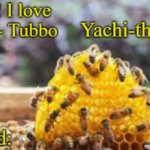 Yachi's bees temp meme