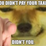 Cheems Pointing At You | YOU DIDN'T PAY YOUR TAXES DIDN'T YOU. | image tagged in cheems pointing at you,taxes,cheems | made w/ Imgflip meme maker