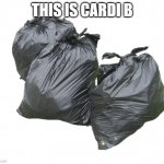 true | THIS IS CARDI B | image tagged in trash bags | made w/ Imgflip meme maker