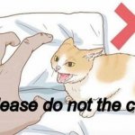 Do not the cat. template