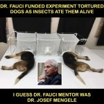 Fauci torturing dogs