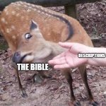 They weren't really included | THE BIBLE; DESCRIPTIONS | image tagged in nope | made w/ Imgflip meme maker