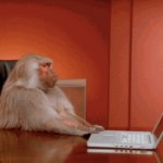 Monkey Computer