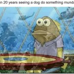 It's just a burning memory | Me in 20 years seeing a dog do something mundane | image tagged in flashbacks | made w/ Imgflip meme maker