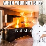 Not shef | WHEN YOUR NOT SHEF: | image tagged in not shef,meme man shef | made w/ Imgflip meme maker