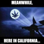 MEANWHILE IN CA | MEANWHILE, HERE IN CALIFORNIA... | image tagged in meanwhile in ca | made w/ Imgflip meme maker