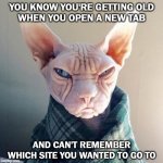 Getting Old | YOU KNOW YOU'RE GETTING OLD
 WHEN YOU OPEN A NEW TAB; AND CAN'T REMEMBER WHICH SITE YOU WANTED TO GO TO | image tagged in old man cat | made w/ Imgflip meme maker