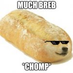 Breb Doge | MUCH BREB; *CHOMP* | image tagged in breb doge | made w/ Imgflip meme maker